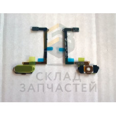 Кнопка Home (толкатель) (GOLD) в сборе, оригинал Samsung GH96-08166C